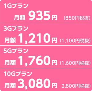 データ専用SIM／1Gプラン月額935円（850円税抜）3Gプラン月額1,210円（1,100円税抜）5Gプラン月額1,760円（1,600円税抜）10Gプラン月額3,080円（2,800円税抜）